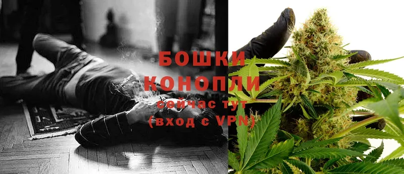 MEGA tor  это наркотические препараты  Бошки Шишки White Widow  где найти наркотики  Камень-на-Оби 